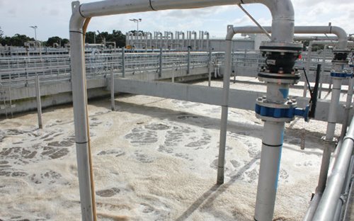 Wastewater flowing through the reactors at the Mangere Wastewater Treatment Plant extension.